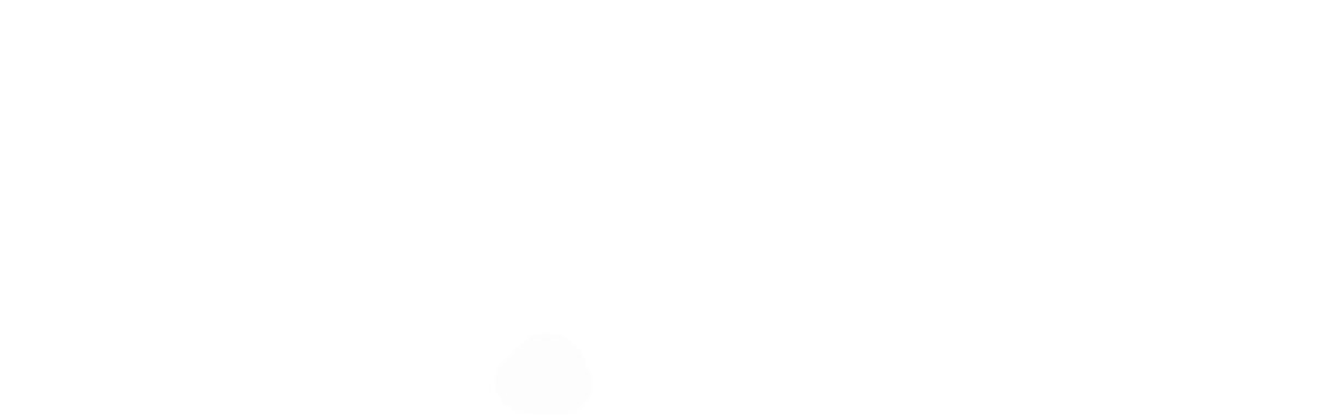Dash
